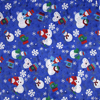 1010227S-Bandana.jpg