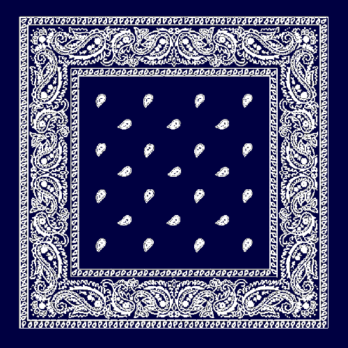 27"X27" Premium Navy Blue Paisley Bandana