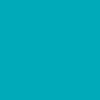 1040199S-Bandana.gif