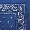 1010043BANDANA.jpg