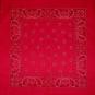 1010061L-Bandana.jpg