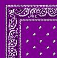 1040007-GRAPE-PAISLEY-BANDANA.jpg