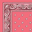 1040010-PINK-PAISLEY-BANDANA.jpg