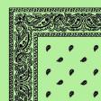 1040011-MINT-PAISLEY-BANDANA.jpg