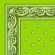 1040018-LIME-PAISLEY-BANDANA.jpg