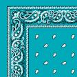 1040030-TURQUOISE-PAISLEY-BANDANA.jpg