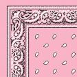 1040031-LIGHT-PINK-PAISLEYBANDANA.jpg