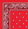 1040033-HOT-ORANGE-PAISLEY-BANDANA.jpg