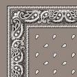 1040037-GREY-PAISLEY-BANDANA.jpg