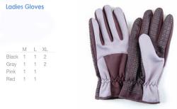 4830108-LADIES-GLOVE.jpg