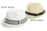 NF3814624-POLYESTER-FEDORA-HATS-1.jpg