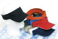 Sun Visor